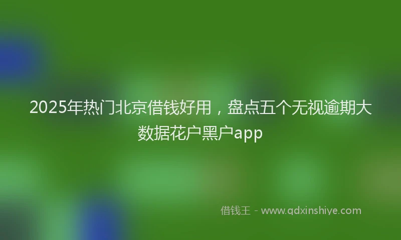 2025年热门北京借钱好用，盘点五个无视逾期大数据花户黑户app