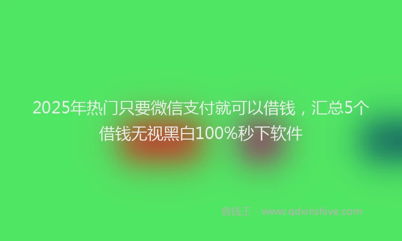 2025年热门只要微信支付就可以借钱，汇总5个借钱无视黑白100%秒下软件