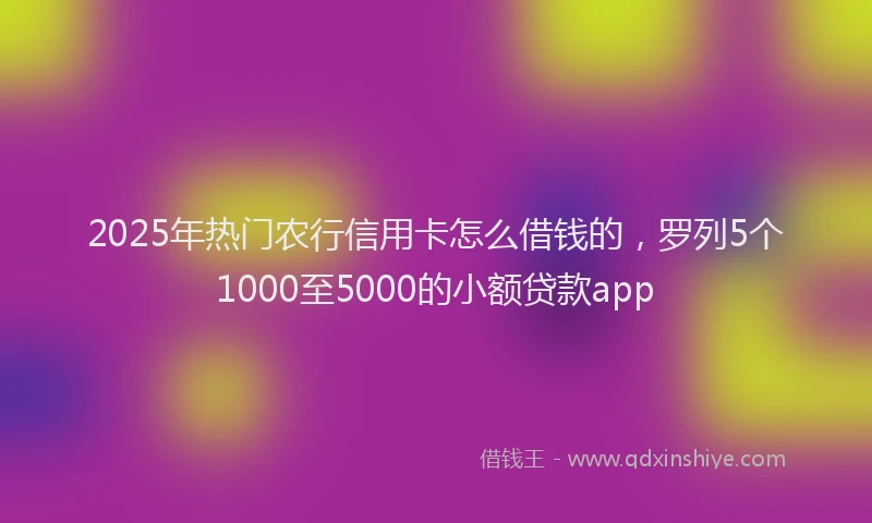 2025年热门农行信用卡怎么借钱的，罗列5个1000至5000的小额贷款app