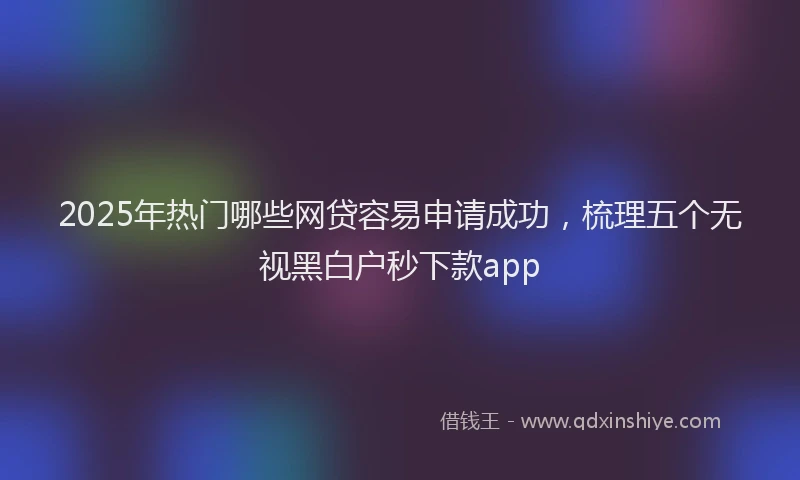 2025年热门哪些网贷容易申请成功，梳理五个无视黑白户秒下款app