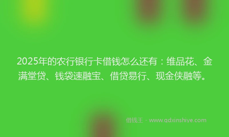 2025年的农行银行卡借钱怎么还有：维品花、金满堂贷、钱袋速融宝、借贷易行、现金侠融等。