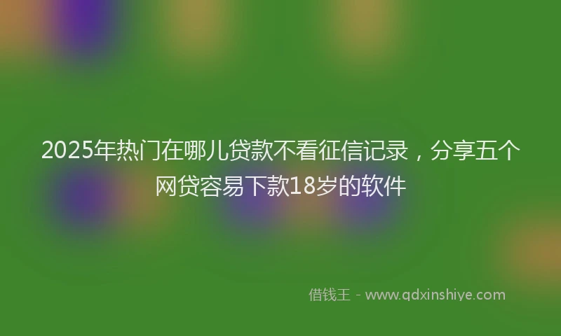 2025年热门在哪儿贷款不看征信记录，分享五个网贷容易下款18岁的软件