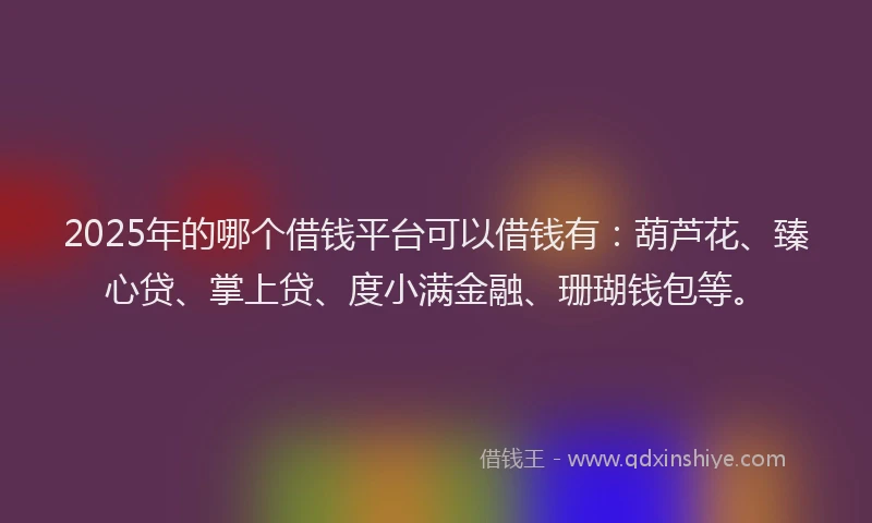 2025年的哪个借钱平台可以借钱有：葫芦花、臻心贷、掌上贷、度小满金融、珊瑚钱包等。