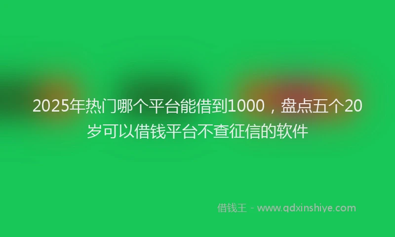 2025年热门哪个平台能借到1000，盘点五个20岁可以借钱平台不查征信的软件