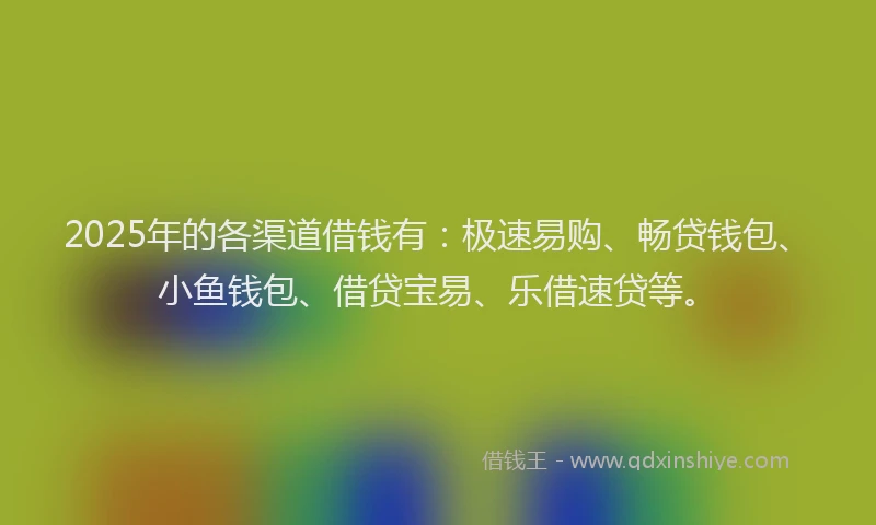 2025年的各渠道借钱有：极速易购、畅贷钱包、小鱼钱包、借贷宝易、乐借速贷等。