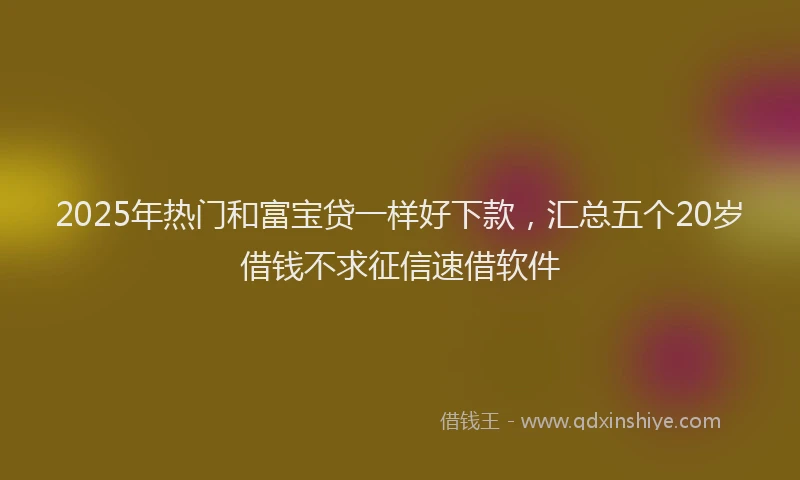 2025年热门和富宝贷一样好下款，汇总五个20岁借钱不求征信速借软件