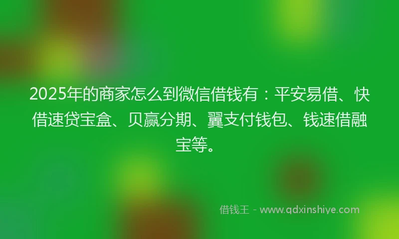 2025年的商家怎么到微信借钱有：平安易借、快借速贷宝盒、贝赢分期、翼支付钱包、钱速借融宝等。