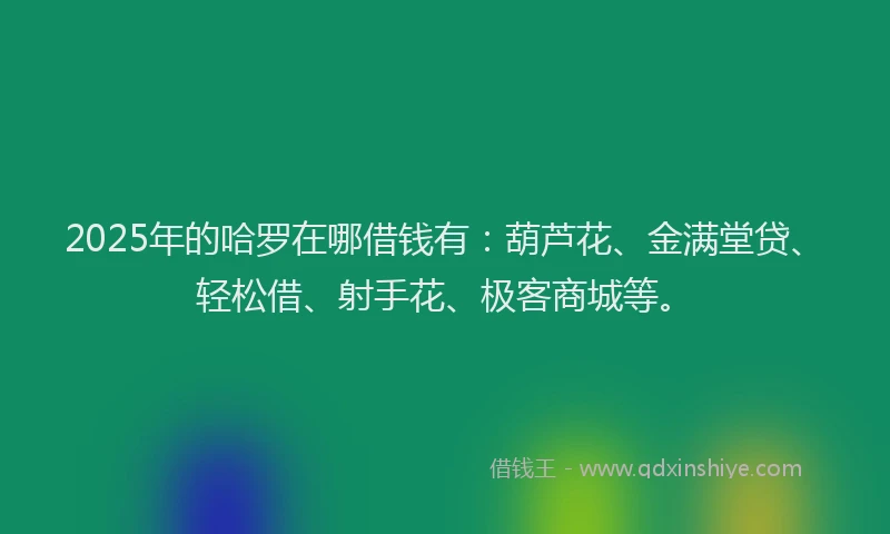 2025年的哈罗在哪借钱有：葫芦花、金满堂贷、轻松借、射手花、极客商城等。