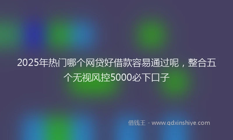 2025年热门哪个网贷好借款容易通过呢，整合五个无视风控5000必下口子