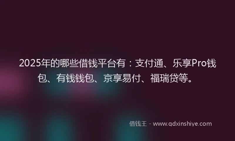 2025年的哪些借钱平台有：支付通、乐享Pro钱包、有钱钱包、京享易付、福瑞贷等。