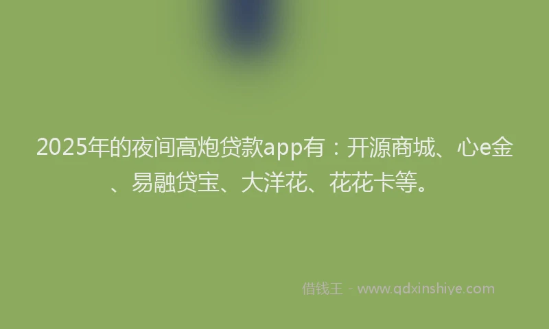 2025年的夜间高炮贷款app有：开源商城、心e金、易融贷宝、大洋花、花花卡等。
