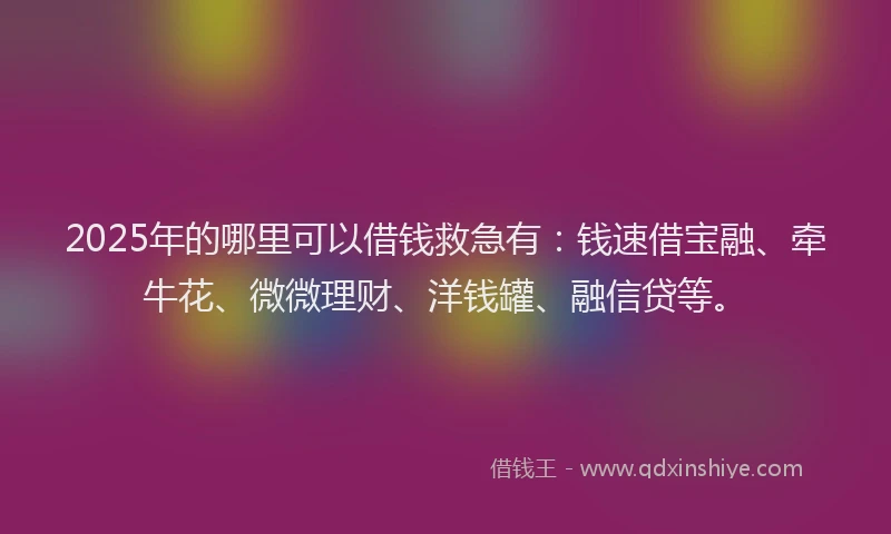 2025年的哪里可以借钱救急有：钱速借宝融、牵牛花、微微理财、洋钱罐、融信贷等。