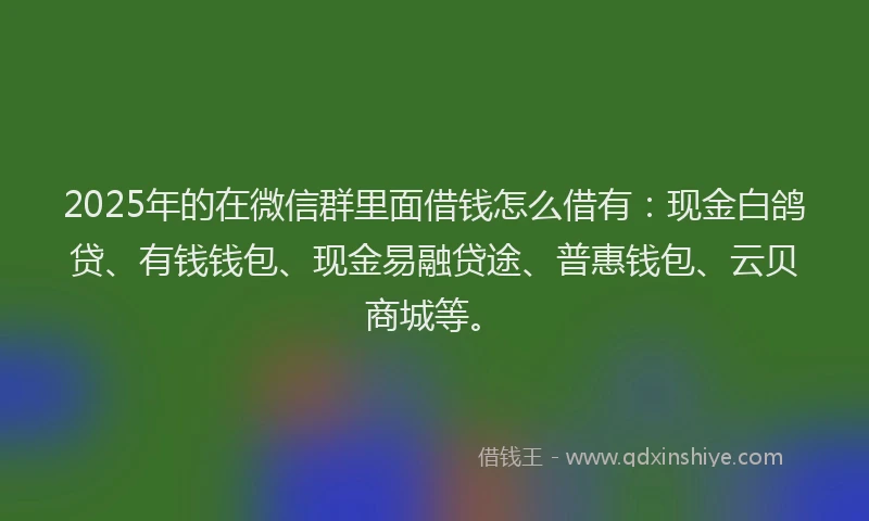 2025年的在微信群里面借钱怎么借有：现金白鸽贷、有钱钱包、现金易融贷途、普惠钱包、云贝商城等。