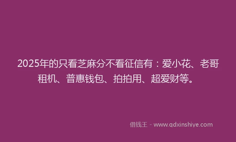 2025年的只看芝麻分不看征信有：爱小花、老哥租机、普惠钱包、拍拍用、超爱财等。