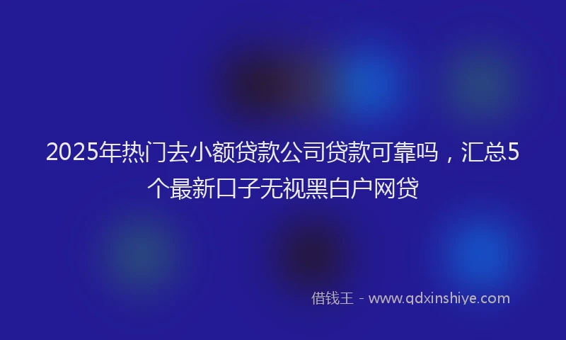 2025年热门去小额贷款公司贷款可靠吗，汇总5个最新口子无视黑白户网贷