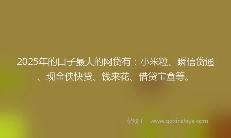 2025年的口子最大的网贷有：小米粒、瞬信贷通、现金侠快贷、钱来花、借贷宝盒等。