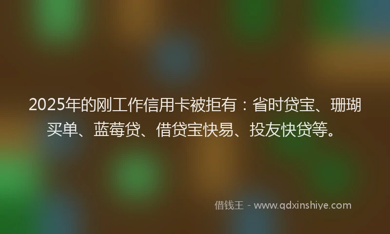 2025年的刚工作信用卡被拒有：省时贷宝、珊瑚买单、蓝莓贷、借贷宝快易、投友快贷等。