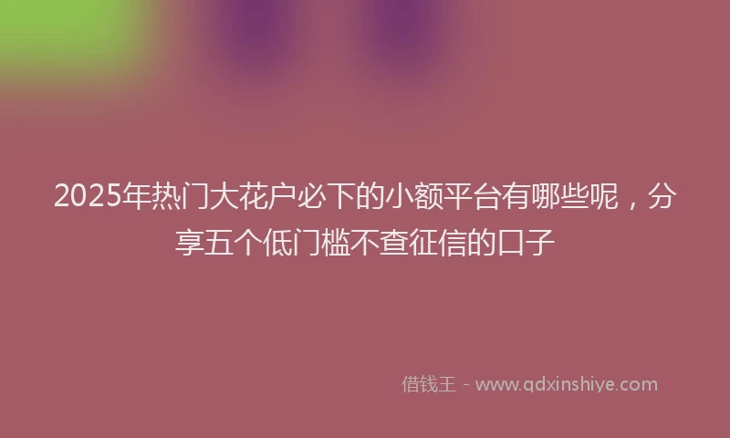 2025年热门大花户必下的小额平台有哪些呢，分享五个低门槛不查征信的口子