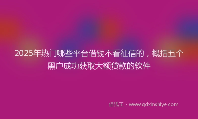 2025年热门哪些平台借钱不看征信的，概括五个黑户成功获取大额贷款的软件