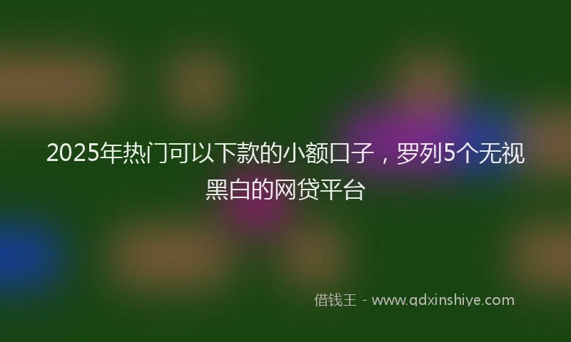 2025年热门可以下款的小额口子，罗列5个无视黑白的网贷平台