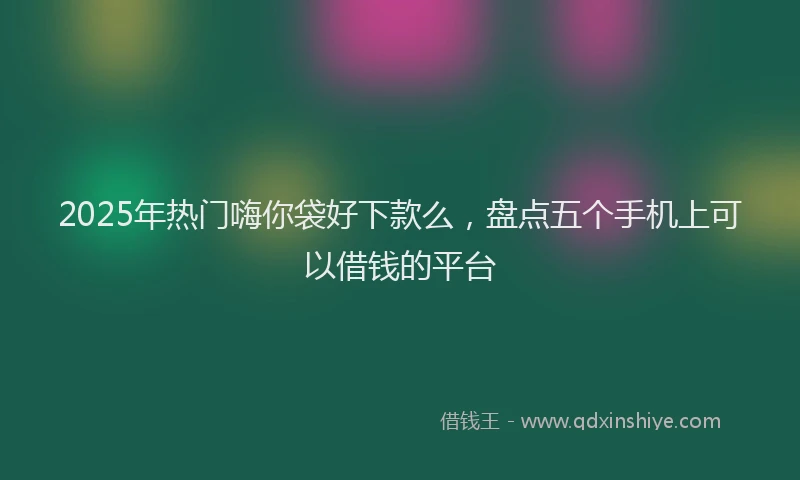 2025年热门嗨你袋好下款么，盘点五个手机上可以借钱的平台