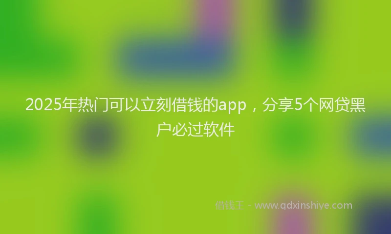 2025年热门可以立刻借钱的app，分享5个网贷黑户必过软件