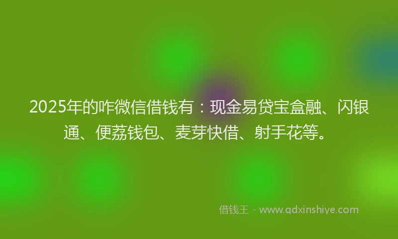 2025年的咋微信借钱有：现金易贷宝盒融、闪银通、便荔钱包、麦芽快借、射手花等。