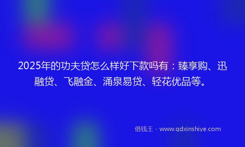 2025年的功夫贷怎么样好下款吗有：臻享购、迅融贷、飞融金、涌泉易贷、轻花优品等。