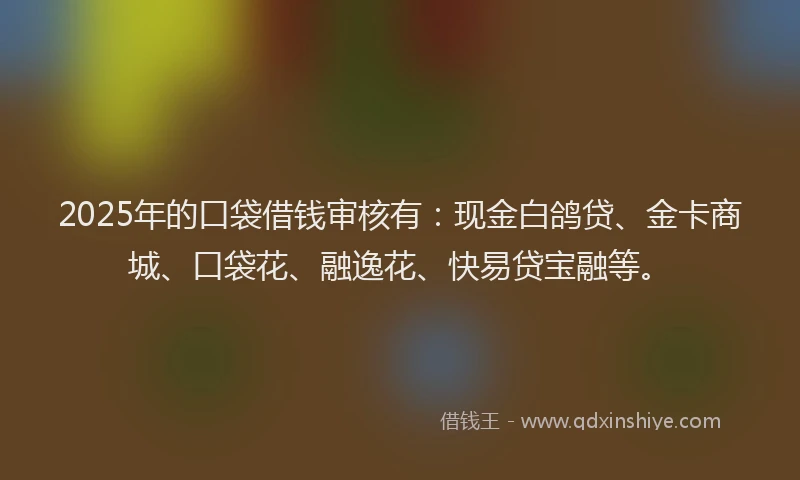 2025年的口袋借钱审核有：现金白鸽贷、金卡商城、口袋花、融逸花、快易贷宝融等。