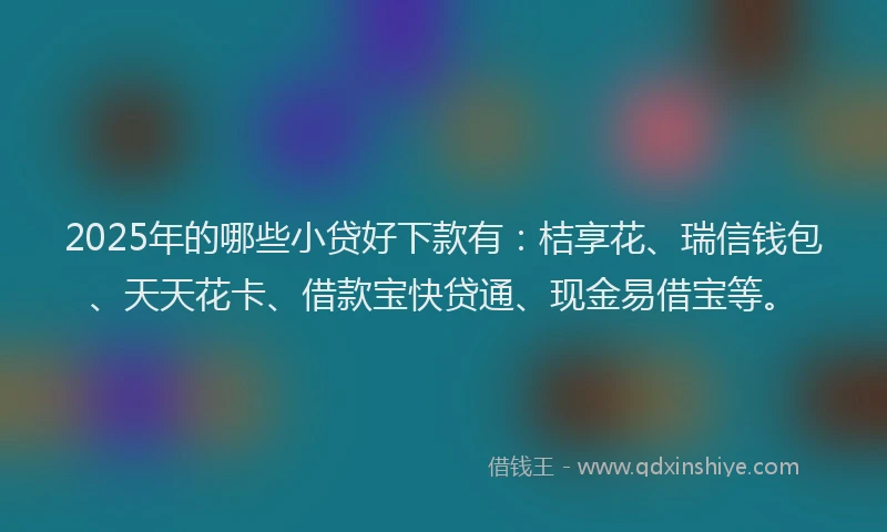 2025年的哪些小贷好下款有:桔享花、瑞信钱包、天天花卡、借款宝快贷通、现金易借宝等。