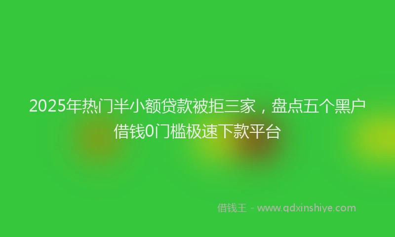 2025年热门半小额贷款被拒三家，盘点五个黑户借钱0门槛极速下款平台