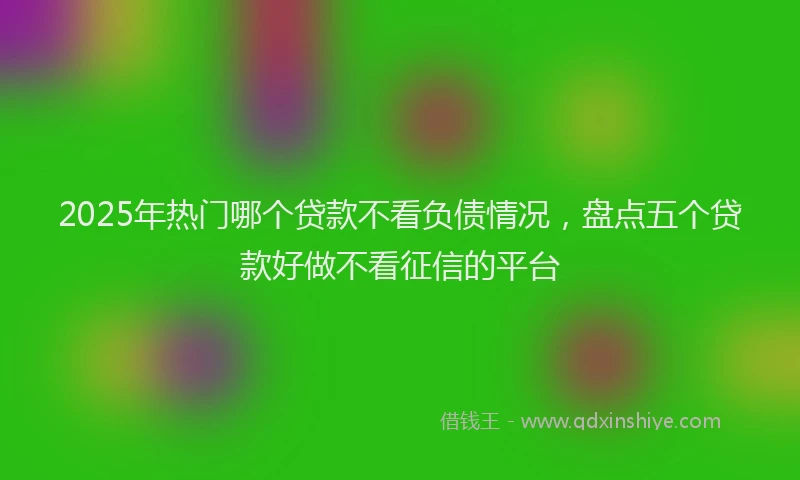 2025年热门哪个贷款不看负债情况，盘点五个贷款好做不看征信的平台