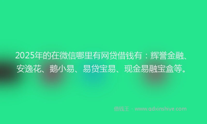 2025年的在微信哪里有网贷借钱有：辉誉金融、安逸花、鹅小易、易贷宝易、现金易融宝盒等。