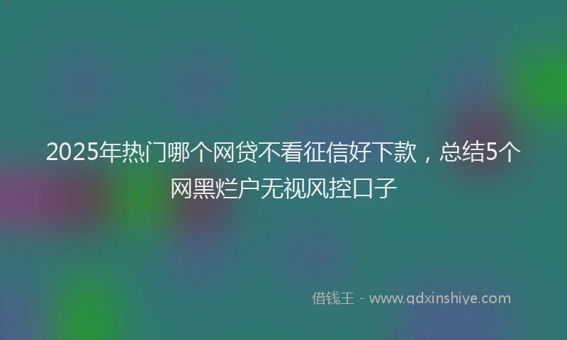 2025年热门哪个网贷不看征信好下款，总结5个网黑烂户无视风控口子