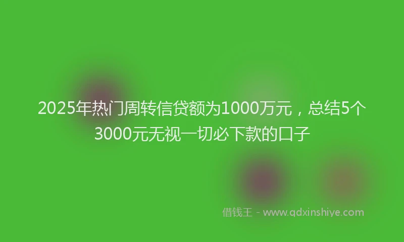 2025年热门周转信贷额为1000万元，总结5个3000元无视一切必下款的口子