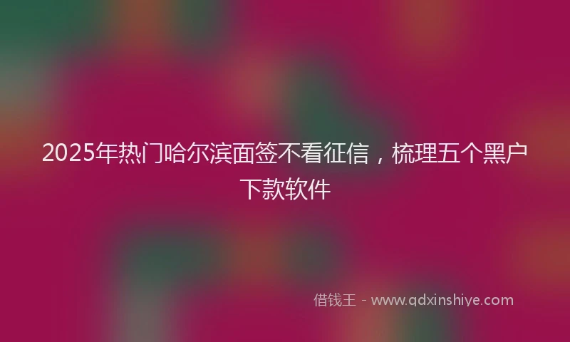 2025年热门哈尔滨面签不看征信，梳理五个黑户下款软件