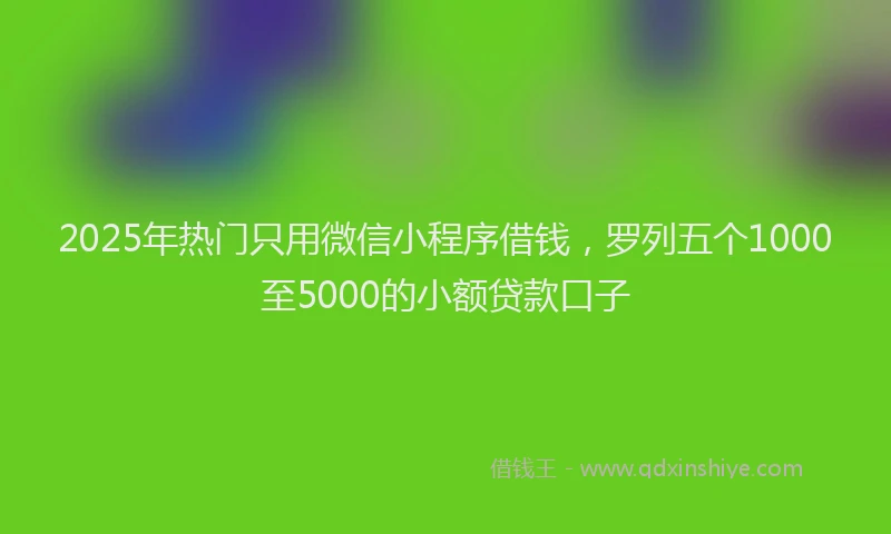 2025年热门只用微信小程序借钱，罗列五个1000至5000的小额贷款口子