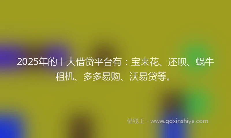 2025年的十大借贷平台有：宝来花、还呗、蜗牛租机、多多易购、沃易贷等。