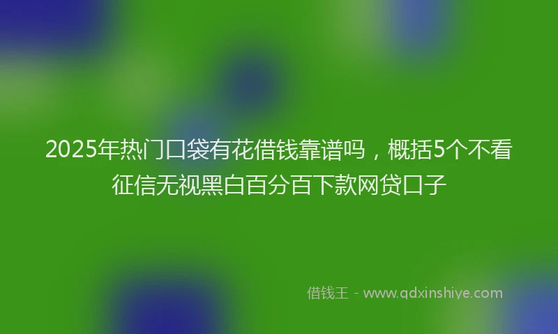2025年热门口袋有花借钱靠谱吗，概括5个不看征信无视黑白百分百下款网贷口子