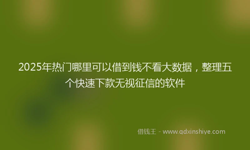 2025年热门哪里可以借到钱不看大数据，整理五个快速下款无视征信的软件
