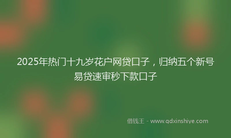 2025年热门十九岁花户网贷口子，归纳五个新号易贷速审秒下款口子