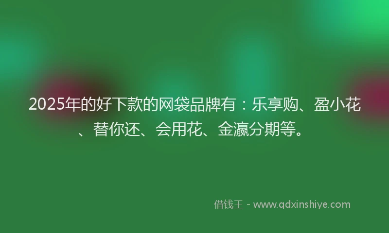 2025年的好下款的网袋品牌有：乐享购、盈小花、替你还、会用花、金瀛分期等。