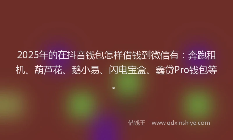 2025年的在抖音钱包怎样借钱到微信有：奔跑租机、葫芦花、鹅小易、闪电宝盒、鑫贷Pro钱包等。