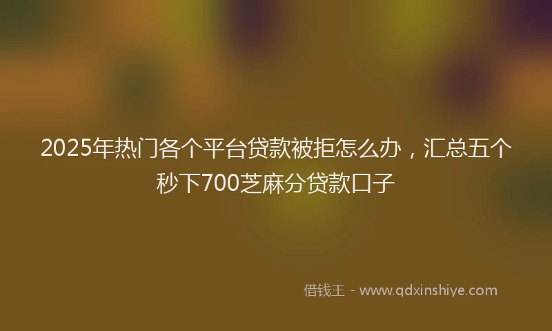 2025年热门各个平台贷款被拒怎么办，汇总五个秒下700芝麻分贷款口子