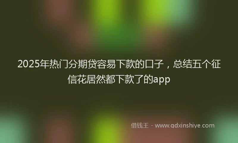 2025年热门分期贷容易下款的口子，总结五个征信花居然都下款了的app