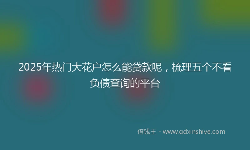 2025年热门大花户怎么能贷款呢，梳理五个不看负债查询的平台