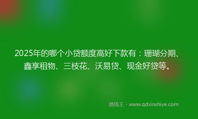 2025年的哪个小贷额度高好下款有：珊瑚分期、鑫享租物、三枝花、沃易贷、现金好贷等。