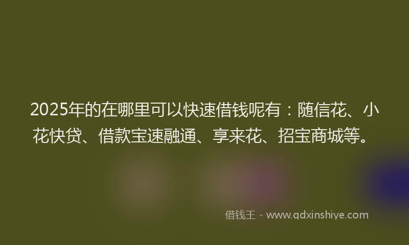 2025年的在哪里可以快速借钱呢有：随信花、小花快贷、借款宝速融通、享来花、招宝商城等。