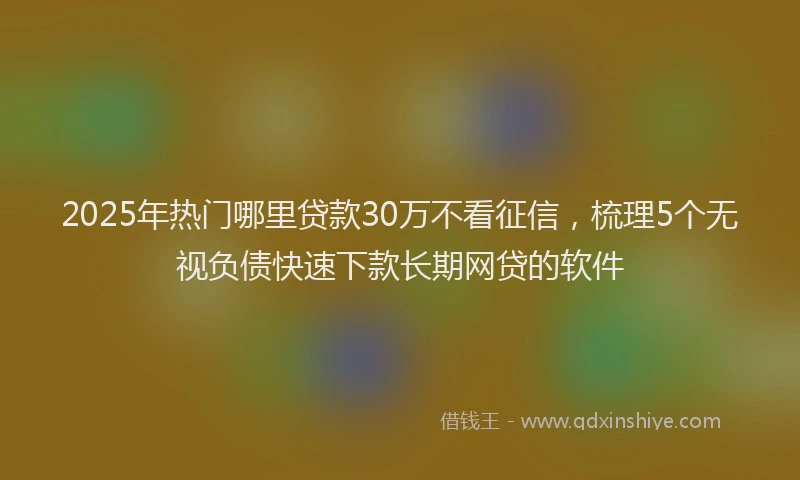 2025年热门哪里贷款30万不看征信，梳理5个无视负债快速下款长期网贷的软件