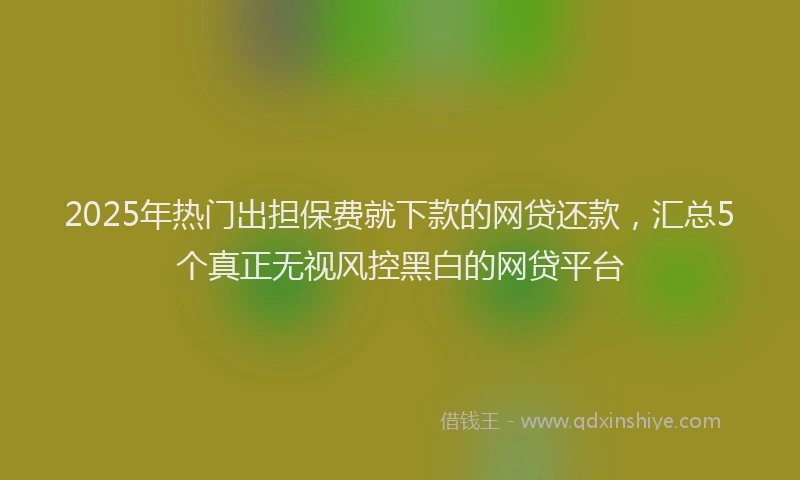 2025年热门出担保费就下款的网贷还款，汇总5个真正无视风控黑白的网贷平台